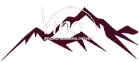 Logo - Vino Imóveis